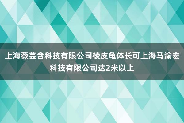 上海薇芸含科技有限公司棱皮龟体长可上海马渝宏科技有限公司达2米以上