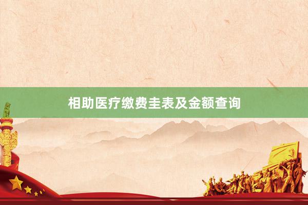相助医疗缴费圭表及金额查询