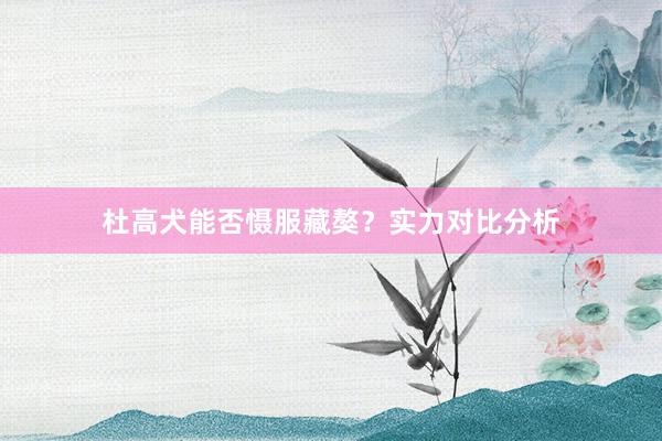 杜高犬能否慑服藏獒？实力对比分析