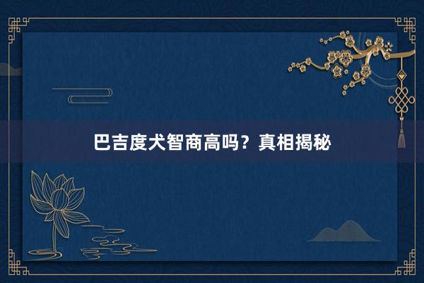 巴吉度犬智商高吗？真相揭秘